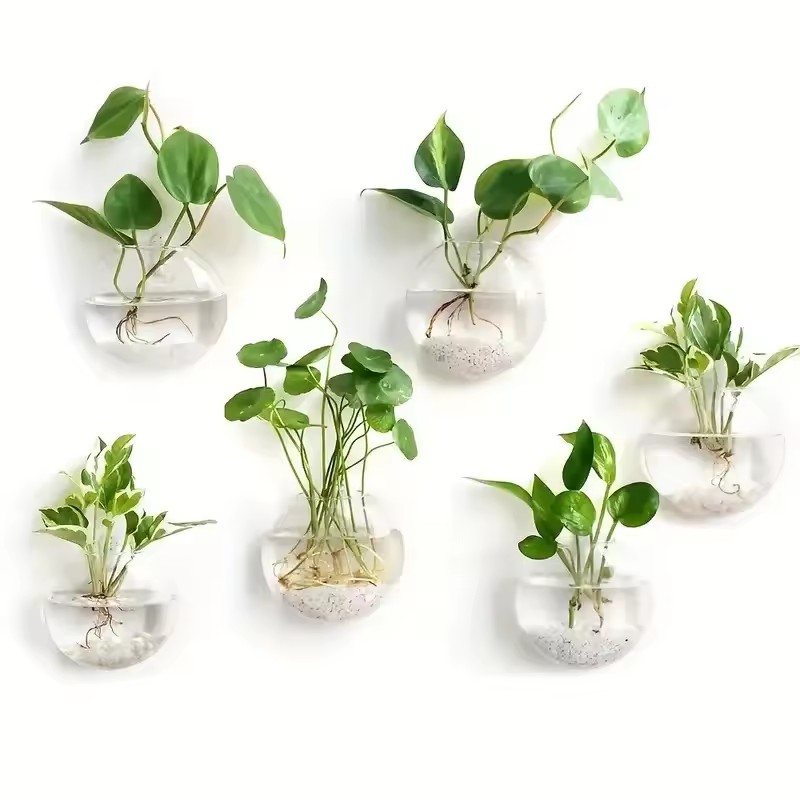 Self-Watering Planter - Terrario de Vidrio Colgante de Pared,