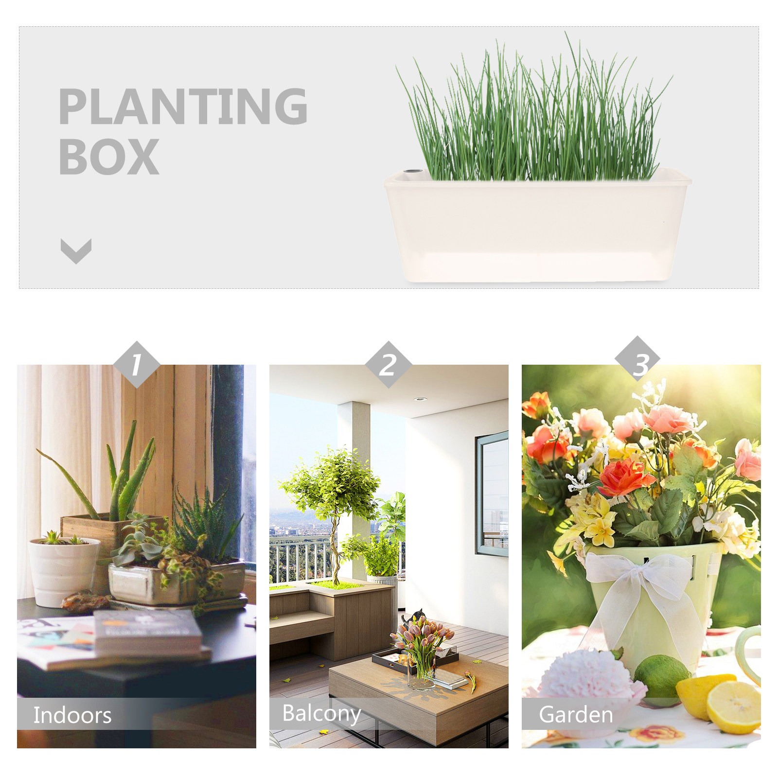 Jardinera rectangular, maceta  - Self-Watering Planter reseña y precio