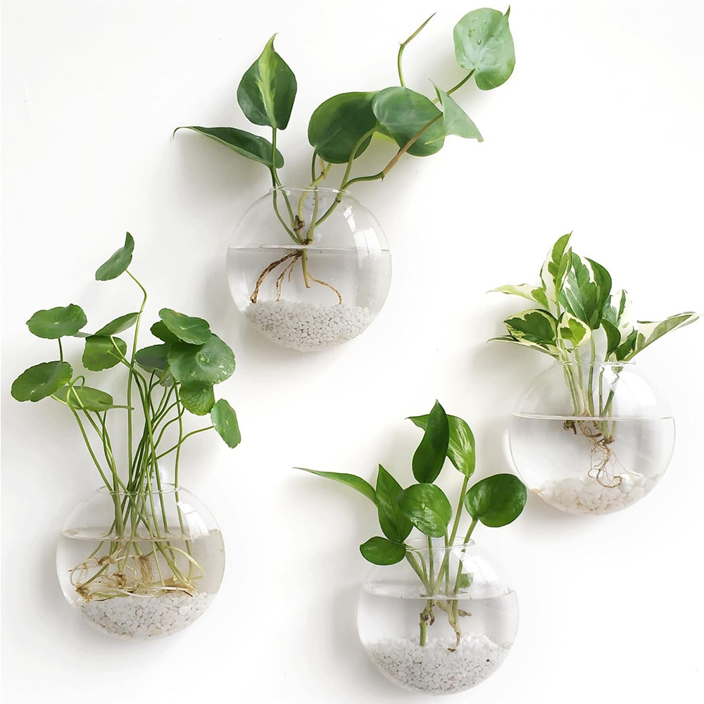 Terrario de Vidrio Colgante de - Self-Watering Planter reseña y precio