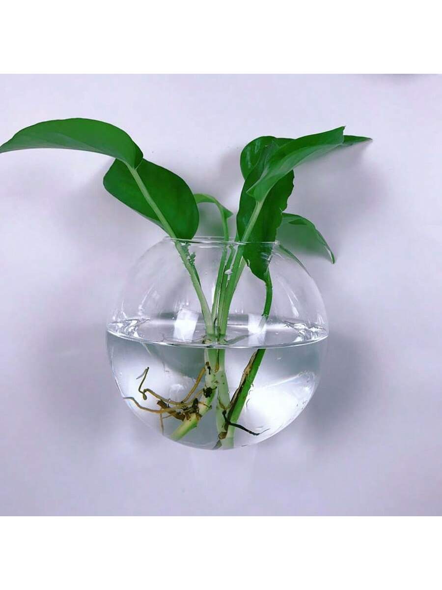 Terrario de Vidrio Colgante de - Self-Watering Planter reseña y precio