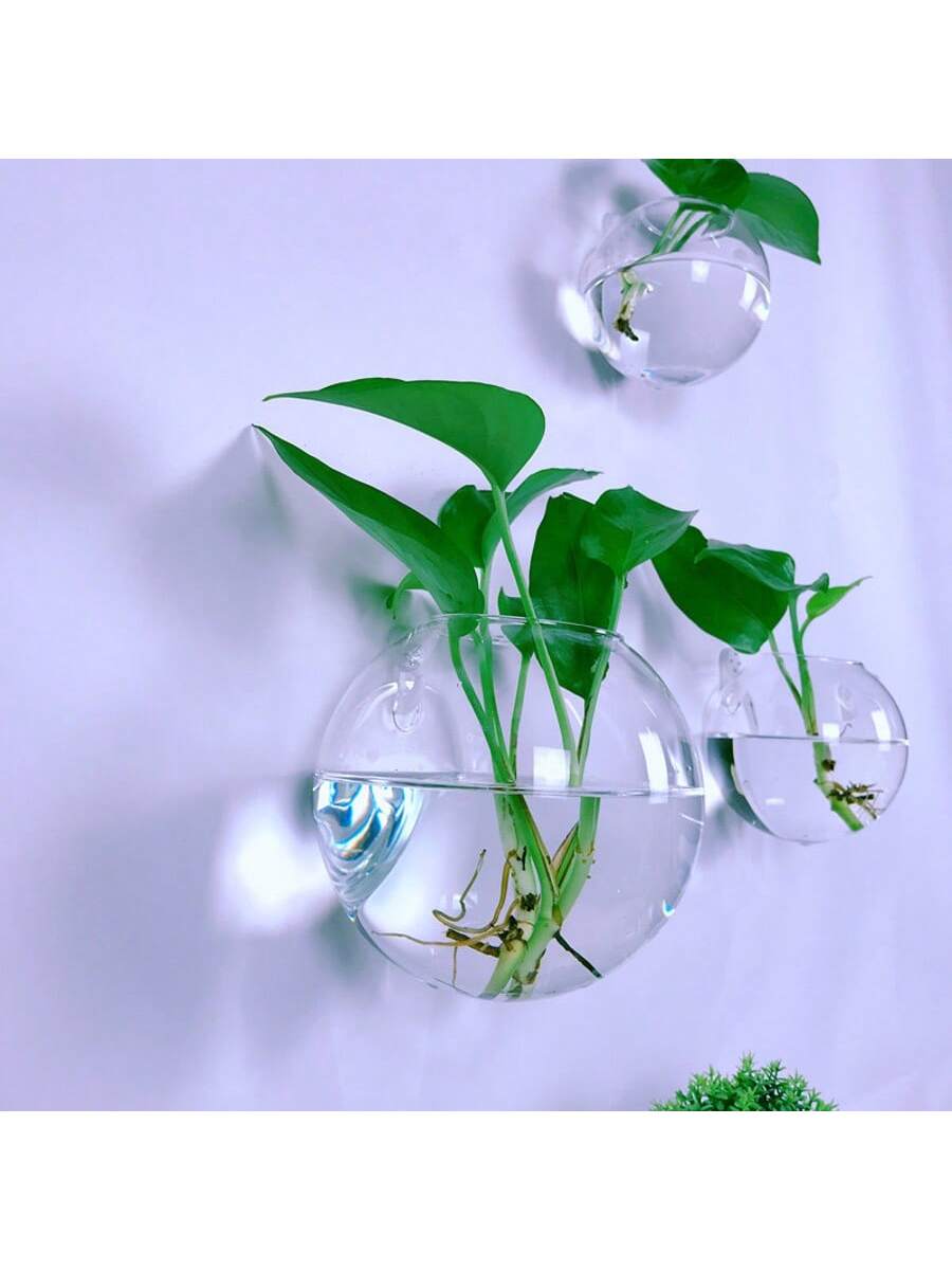 Terrario de Vidrio Colgante de - Self-Watering Planter reseña y precio